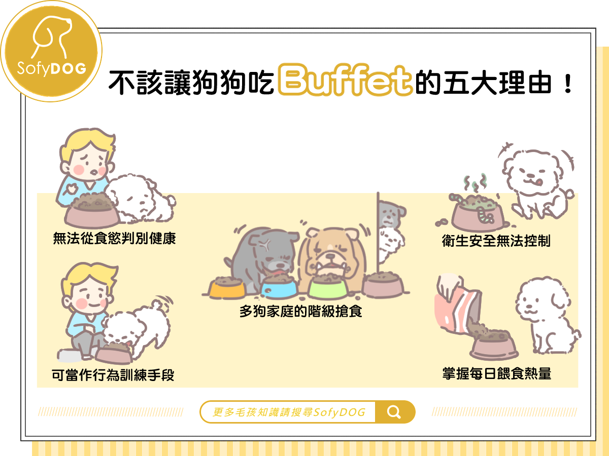 不該讓狗狗吃 Buffet 的五大理由！